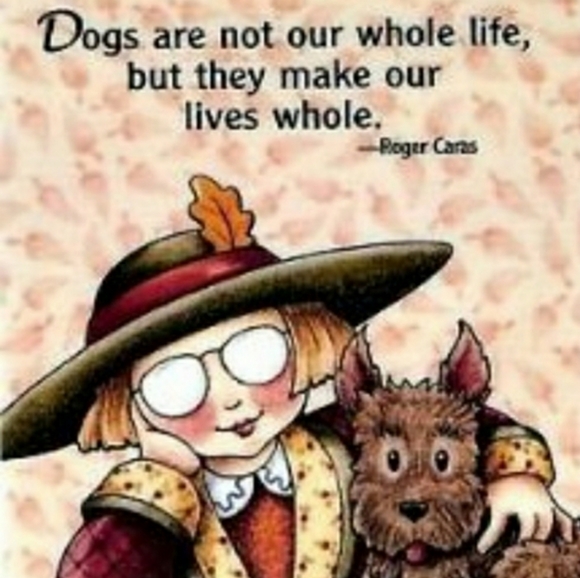 MUST READ! Must read all slides❣ - Picture 12 of 14